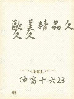 欧美精品久久久久久