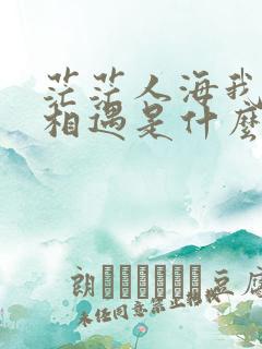 茫茫人海我和你相遇是什么歌