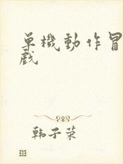 单机动作冒险游戏