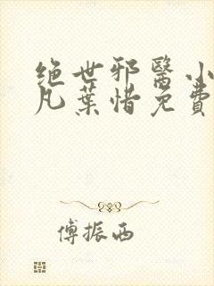 绝世邪医小说林凡叶惜免费阅读全文