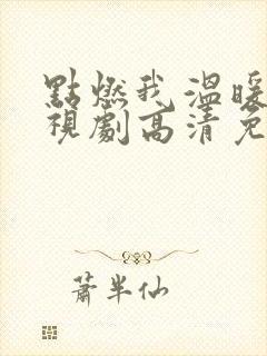 点燃我温暖你电视剧高清免费