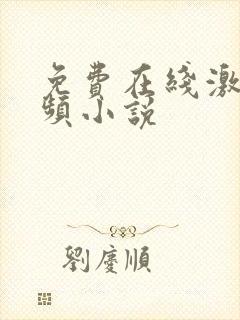 免费在线激情视频小说