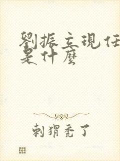 刘振立现任职务是什么