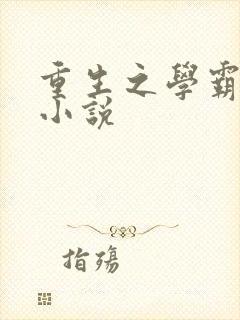 重生之学霸甜妻小说