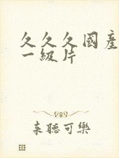 久久久国产精品一级片