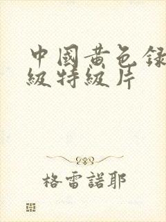 中国黄色录像一级特级片