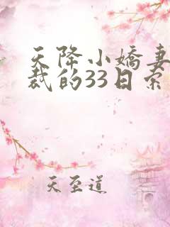 天降小娇妻,总裁的33日索情