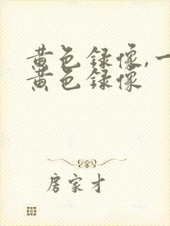 黄色录像,一级黄色录像