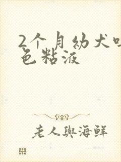 2个月幼犬吐白色粘液