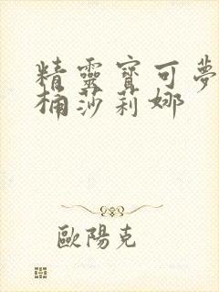 精灵宝可梦小智桶莎莉娜