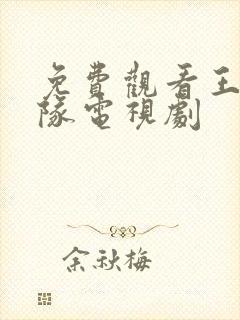 免费观看王牌部队电视剧