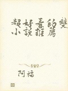 超好看的双男主小说推荐