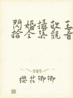 闪婚摄政王欠收拾全集观看