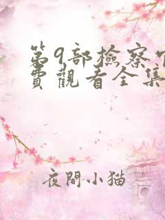 第9部检察官免费观看全集电视剧