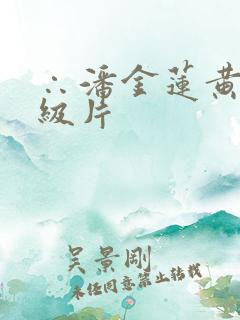 ∴潘金莲黄色一级片