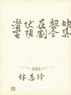 潜伏在黎明之前电视剧全集免费