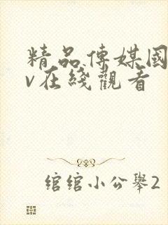 精品传媒国产av在线观看