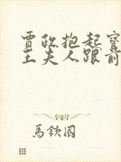 贾政抱起宝钗到王夫人跟前小说