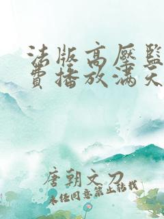 法版高压监狱免费播放满天星