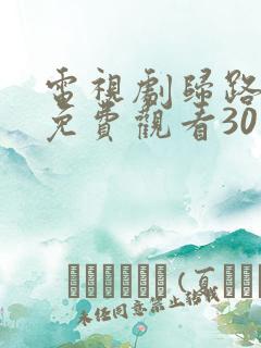 电视剧归路全集免费观看30集完整版