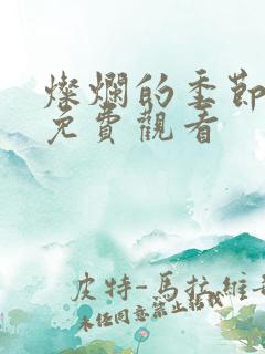 灿烂的季节全集免费观看