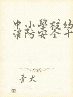 中小学校幼儿园消防安全十项规定最新