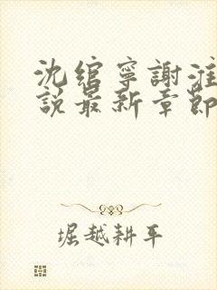 沈绾宁谢淮今小说最新章节免费阅读