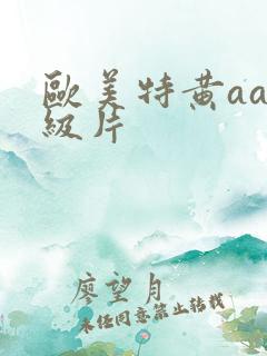 欧美特黄aa一级片