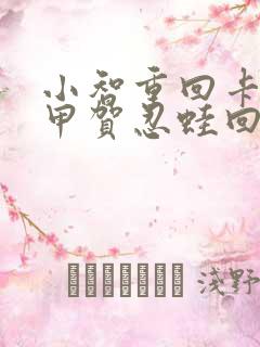 小智重回卡洛斯甲贺忍蛙回归