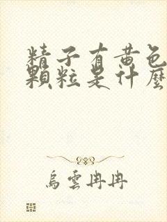 精子有黄色果冻颗粒是什么情况