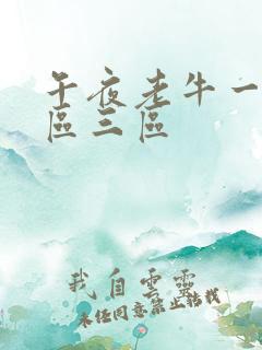 午夜老牛一区二区三区