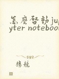 怎么启动jupyter notebook