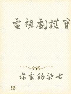 电视剧护宝风云