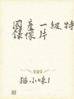 国产一级特黄色录像片