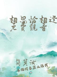 相思恰相逢在线免费观看