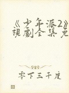 《少年派2》电视剧全集免费