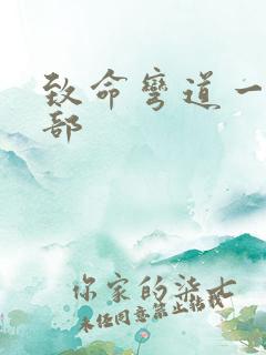 致命弯道一共几部