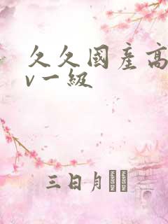 久久国产高清av一级