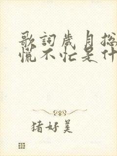 歌词岁月总是不慌不忙是什么歌