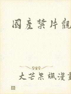 国产禁片观看
