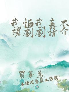 我怕我来不及电视剧剧情介绍