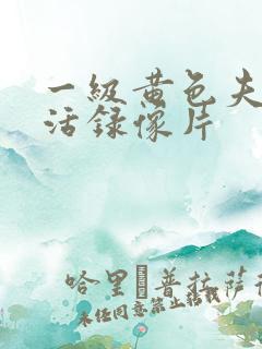 一级黄色夫妻生活录像片