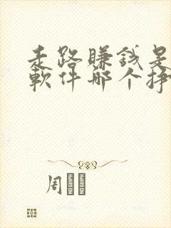 走路赚钱是哪个软件哪个挣的多呀