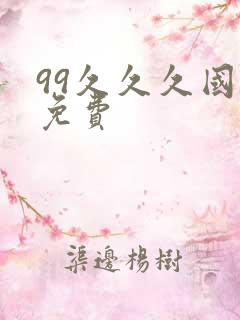 99久久久国产免费
