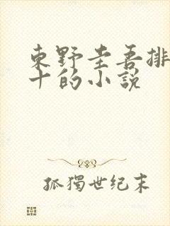 东野圭吾排名前十的小说