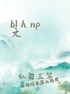 bl h np文