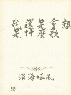 我还是会想起你是什么歌