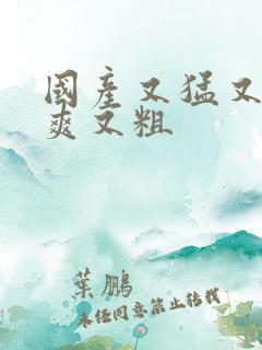 国产又猛又黄又爽又粗