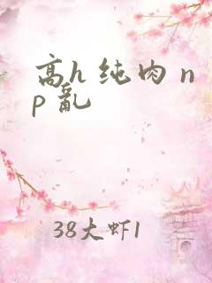 高h 纯肉 np 乱