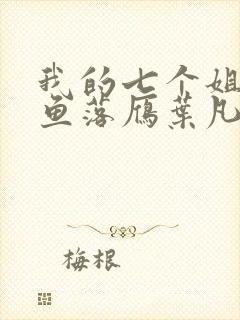 我的七个姐姐沉鱼落雁叶凡